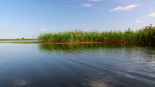 Дунай Дельта водно-болотних угідь в русі — стокове відео