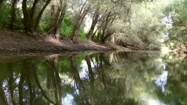 Duna-delta vizes mozgás erdős — Stock videók
