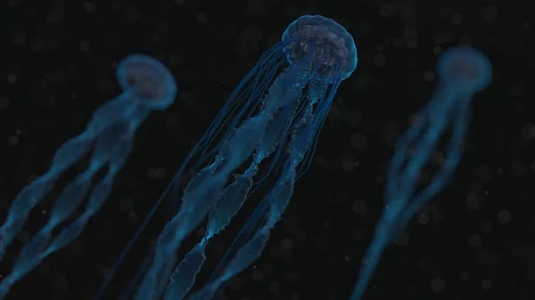 Wygenerowane komputerowo meduzy — Zdjęcie stockowe