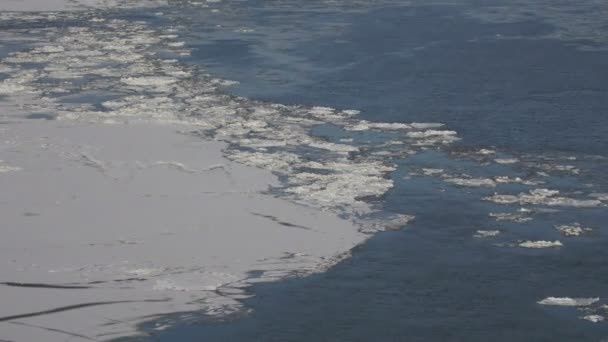 ドナウ川タイムラプスの氷床 — ストック動画
