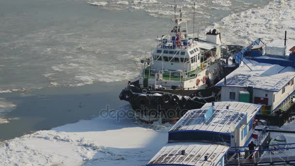 Icebreaker klaar voor actie op de Donau — Stockvideo