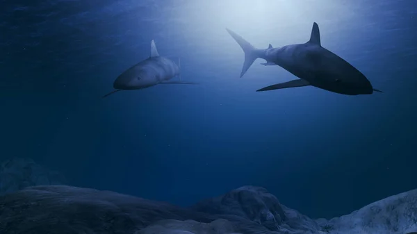 Tiburones generados por computadora nadando cerca del fondo del océano —  Fotos de Stock