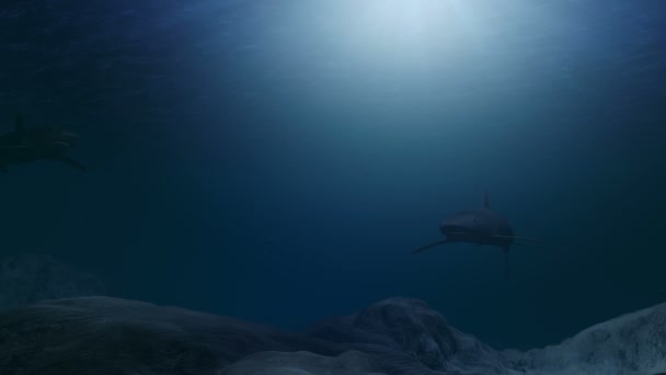 Tubarões gerados por computador nadando perto do fundo do oceano — Vídeo de Stock