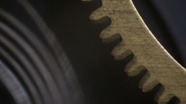 Clockwork filmad under ett Mikroskop — Stockvideo