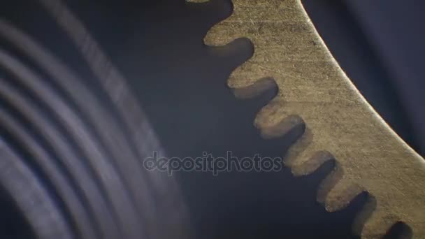 Reloj filmado bajo un microscopio — Vídeo de stock
