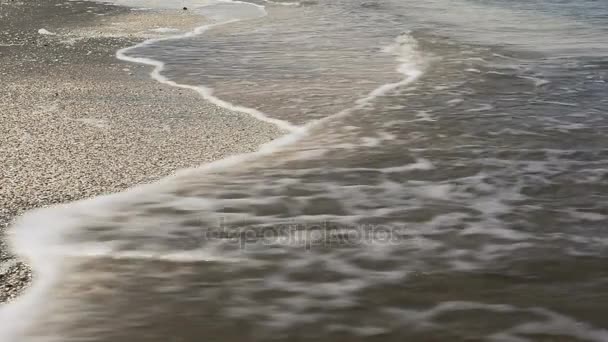 Las olas del mar lavan la arena llena de conchas en una playa salvaje — Vídeos de Stock