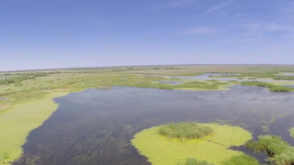 Дунай Дельта водно-болотних угідь пташиного польоту — стокове відео