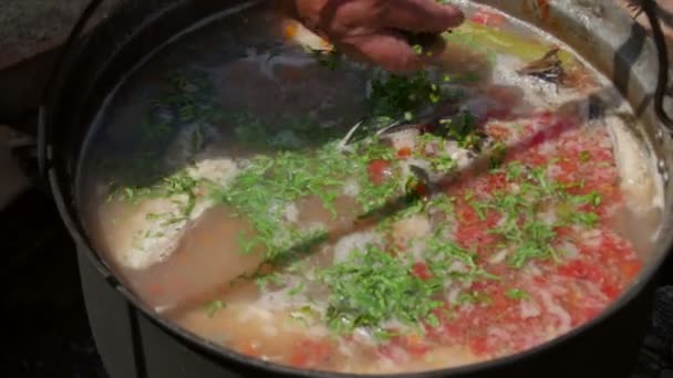 Brodo di pesce tradizionale del Delta del Danubio — Video Stock