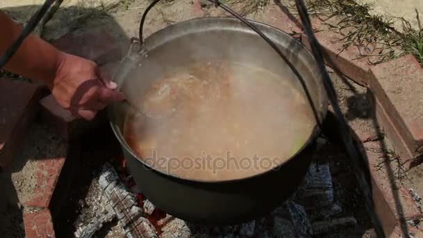 Bouillon de poisson traditionnel du delta du Danube — Video