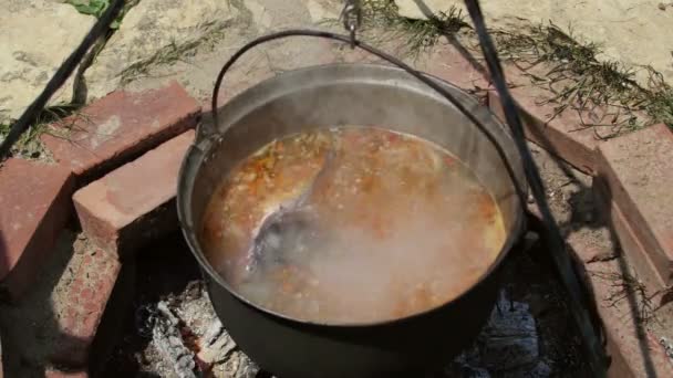 Traditional fish broth from Danube Delta — Stock Video