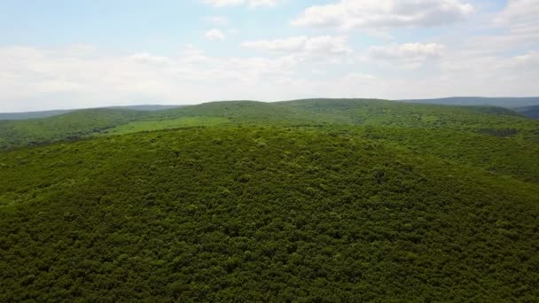 Luchtfoto van de Balkan gemengd bos — Stockvideo