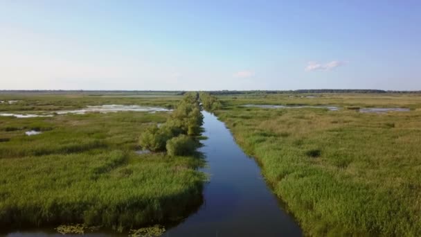 Danube delta wetlands aerial view — Stock Video