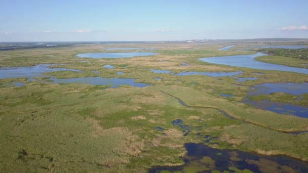 Vista aérea de los humedales del delta del Danubio — Vídeos de Stock