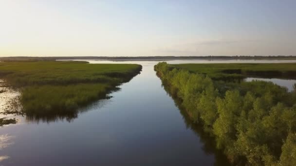 Danube delta vizes élőhelyek légifelvételek — Stock videók