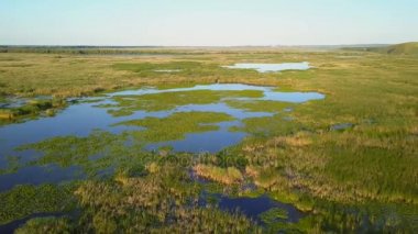 Danube delta sulak havadan görünümü