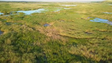 Danube delta sulak havadan görünümü