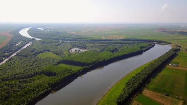 Flygfoto över floden Donau — Stockvideo
