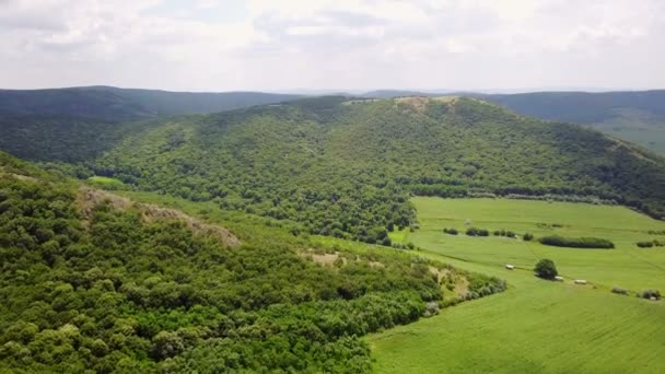 野生的巴尔干地区树木繁茂的山鸟瞰图 — 图库视频影像