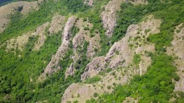 Vahşi Balkan Dağları havadan görünümü ağaçlık