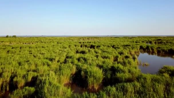 Nekonečné rozlohy vody a rákosí v deltě Dunaje — Stock video