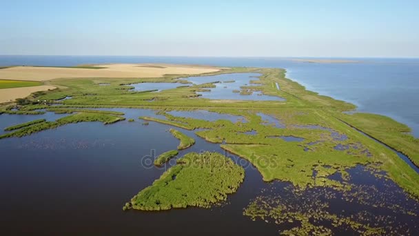 Tuna Deltası güney kısmında yer alan Razim-Sinoe lagoon — Stok video