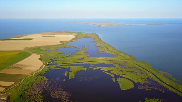 Razim-Sinoe lagoon located in the south part of the Danube Delta — Stock Video