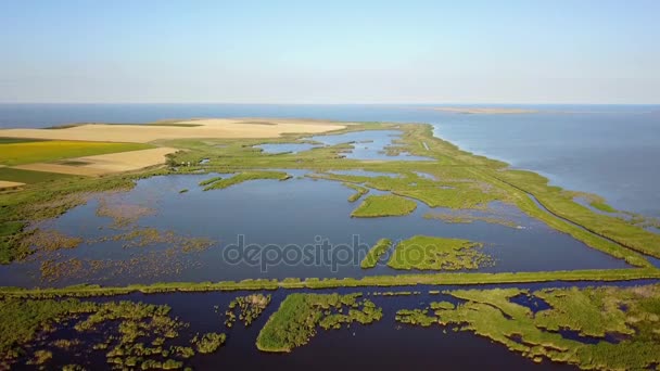 Razim-Sinoe lagúna déli részén a Duna-Delta található — Stock videók