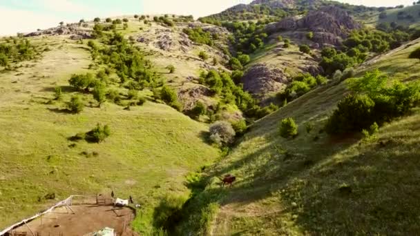 Aérienne au-dessus d'une vallée de montagne couverte de rochers — Video