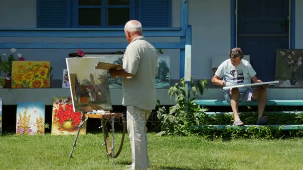 Internationale schilderij kamp in de Donaudelta — Stockvideo