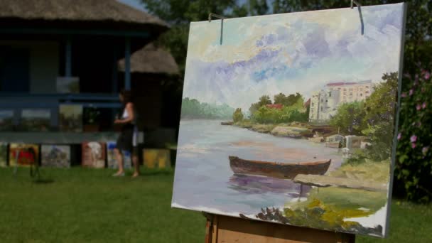 International painting camp in the Danube Delta — Stock Video