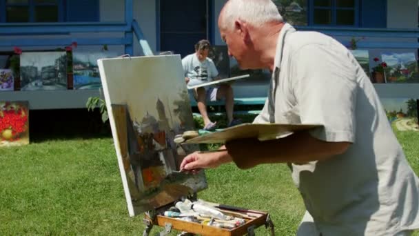 Campo de pintura internacional no Delta do Danúbio — Vídeo de Stock