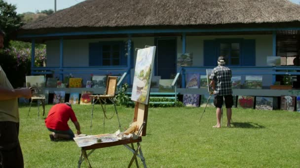 International painting camp in the Danube Delta — Stok Video