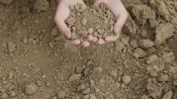 Close-up of farmer's hands holding dried soil — Stock Video