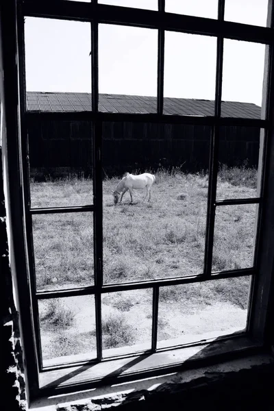 Abandonado velho moinho janela — Fotografia de Stock