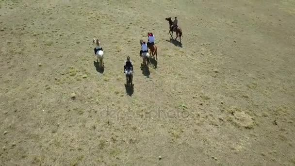 Άλογο ιππασίας εκδρομές σε Macin βουνά του εθνικού πάρκου — Αρχείο Βίντεο