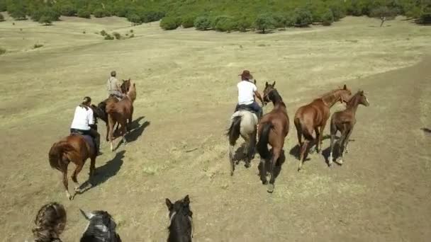 Passeios a cavalo no parque nacional das montanhas Macin — Vídeo de Stock