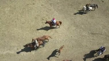 At Binme gezileri Macin Dağları Milli Parkı