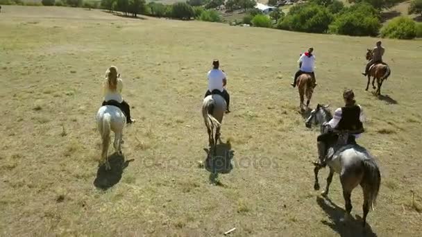 Paseos a caballo en el parque nacional de las montañas de Macin — Vídeos de Stock