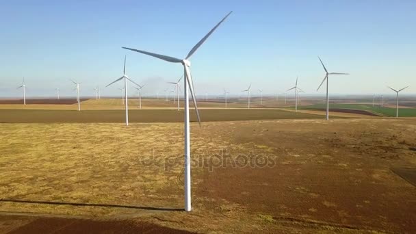 Luchtfoto van grote wind farm — Stockvideo