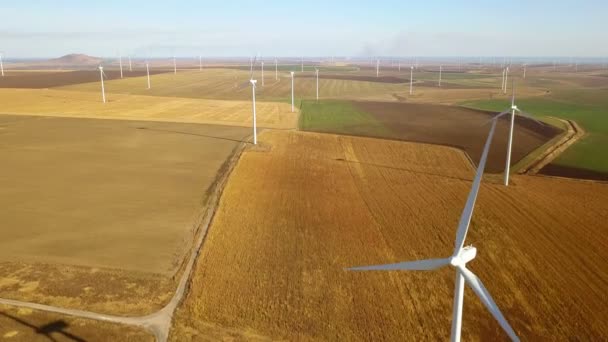 Büyük Rüzgar Çiftliği havadan görünümü — Stok video