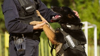 Öğretim üyesi ile oynayan Jandarma köpek