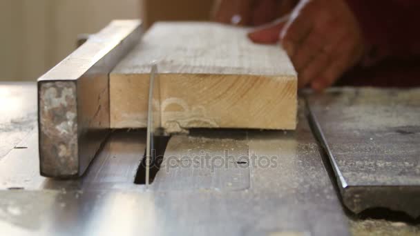 Arbeiter schneidet Holzbretter mit Kreissäge in einer Möbelfabrik — Stockvideo