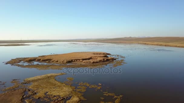 Donau Delta Feuchtgebiete Luftaufnahme — Stockvideo