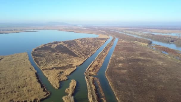 Danube Delta Wetlands Aerial View — Stock Video