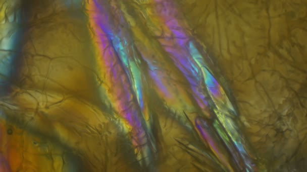 Melting Ice Polarized Light Microscope — Stock Video