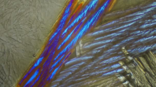 Fonte Glace Microscope Lumière Polarisée — Video