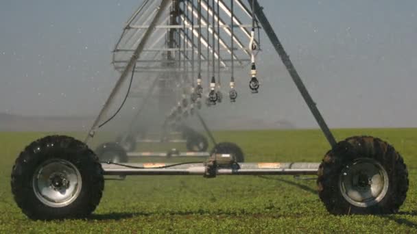 Irrigação Por Pivô Campo Vegetal — Vídeo de Stock