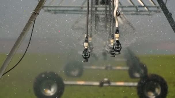 Arrosage Pivot Sur Champ Légumes — Video