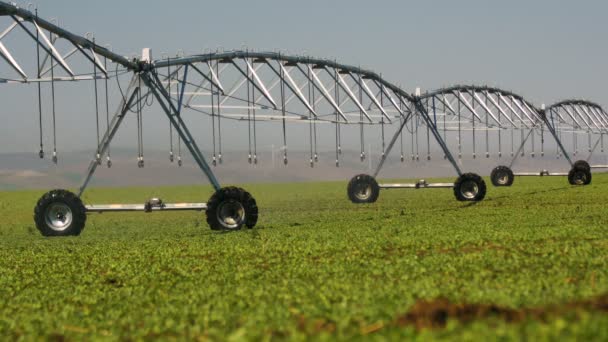 Pivot Irrigation Vegetable Field — Stock Video