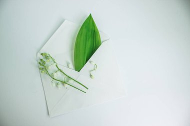 El işi zarfında bahar çiçekleri. Vadinin beyaz zambakları. Çan şeklinde çiçekler. Atmosferik fotoğraf. Mektup yaz. Yeşil, sakinliğin rengidir. Bahar havası. Neşe içinde çiçek açıyor. Beyaz arkaplan.